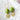 Manika Earrings – Unique Glass Beads with a Story to Tell - SALVESSA